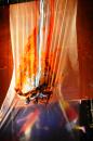 Walldance Couleurs 24 * 4368 x 2912 * (5.63MB)